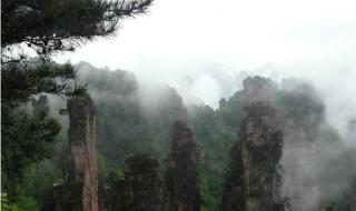 张家界自由行导游 张家界自由行导游